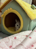贝初众狗窝保暖中小型犬封闭式狗屋冬季猫窝可拆洗狗房子四季通用宠物床 浅绿房子窝【加厚保暖】 L-43*38*43cm（适合18斤内宠物） 可拆洗/柔软舒适大空间 实拍图