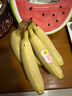 黄胖子进口香蕉650g 实拍图