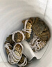 【活蟹】漁家师傅大闸蟹全母3.0-3.3两8只去绳足重鲜活螃蟹现货生鲜年货礼盒 源头直发 实拍图