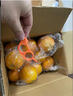 京鲜生 福建甜心柚甜橘柚子 4.5斤装 单果200g起 生鲜水果源头直发包邮 实拍图