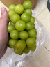 京鲜生 阳光玫瑰葡萄 青提2-2.5斤装 单果约10g 生鲜水果 实拍图