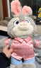 迪士尼（Disney）疯狂动物城朱迪双肩包兔子玩偶包公仔毛绒玩具儿童生日礼物女孩 实拍图
