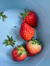 京鲜生 长丰红颜草莓净重1.5斤装 单果25g 生鲜水果 源头直发包邮 实拍图