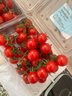 京鲜生 串串樱桃小番茄450g*2盒 生吃小西红柿礼盒新鲜水果 源头直发 实拍图