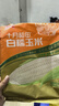 十月稻田 白糯玉米 8根 4.16斤 东北甜粘玉米 非转基因 低脂早餐 实拍图
