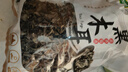 双塔东北黑木耳500g肉厚无根干木耳东北特产小碗耳火锅食材南北干货 实拍图