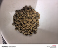 素力高（SolidGold）鲜肉高蛋白生鲜金素鸡鸡肉益生菌肠道猫粮3磅/1.36kg 实拍图