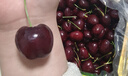 京鲜生 智利车厘子2J级10斤礼盒装 果径约28-30mm 水果礼盒 实拍图