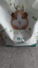 YEE冻干荷兰猪饲料粮食豚鼠专用兔子主粮天竺鼠零食宠物用品1200g 实拍图
