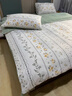 雅鹿床上四件套纯棉100%春秋全棉被罩床单家用床笠款宿舍床上用品被套 RYue-碧城春泥【100%纯棉】 1.8米 床单款 四件套-被套2*2.3m 实拍图