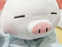MINISO名创优品柴犬小猪弹力超柔娃娃可爱毛绒玩偶抱枕生日礼物公仔新年 小猪B-BO（37*23cm) 见详情图 实拍图