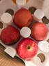 甜醉了 烟台苹果栖霞红富士新鲜水果生鲜山东特产脆甜整箱平果礼盒礼品 18枚单果75-80mm(净重约8斤) 实拍图