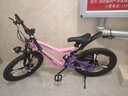 飞鸽（FG FLYING PIGEON）儿童自行车6-10岁小孩自行车儿童8岁-12岁单车儿童单车儿童山地车 高配粉紫|变速|镁合金车架+碟刹 22寸【适合身高140-165cm】 实拍图