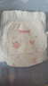 好奇（Huggies）铂金装小桃裤成长裤L120片(9-14kg)大号尿不湿拉拉裤【透爽散热】 实拍图