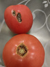 水果番茄西红柿自然成熟沙瓤皮薄新鲜蔬菜生鲜瘦身减脂可生吃 大果，净重 3斤 单果＞100g 实拍图