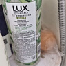 力士（LUX）植萃精油香氛沐浴露玉龙雨茶香550g持久留香柔嫩光滑 实拍图