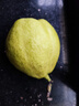 京鲜生 新疆库尔勒香梨 净重5斤 一级 单果100g-120g  生鲜水果 实拍图