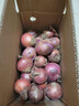 京鲜生山东紫皮小洋葱净重3斤装 新鲜白肉脆甜30g-150g小葱头 源头直发 实拍图