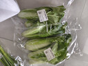 四季豆300g(架豆） 实拍图