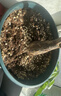 史丹利疏松透气营养土养花通用型专用种植土花土家用种花种菜土壤 实拍图