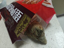 五芳斋 速冻蛋黄猪肉粽 100g*5只 嘉兴粽子蛋黄肉粽端午粽子早餐食品 实拍图
