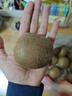 肴池晚采徐香猕猴桃周至新鲜绿心奇异果应季水果彩箱珍珠棉礼盒 20枚大果【果肉满满|品质】105-125克 实拍图