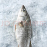 1号会员店（One's Member）零添加保水剂白蕉三去海鲈鱼 1000g（500g*2） 海鱼 海鲜水产 实拍图