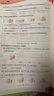 2026春季53天天练小学数学四年级下册BSD北师大版五三天天练53天天练5.3天天练5·3天天 实拍图