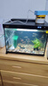 森森金麟超白玻璃鱼缸一体缸自循小型懒人家用水族箱LE-380 实拍图