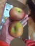 京喜加正宗昭通冰糖心苹果脆甜多汁 整箱5斤A+级中果【果径70-75】 实拍图