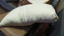 洁丽雅（Grace）A类全棉枕头100%新疆棉花枕芯 高枕一只装 实拍图