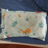 水星儿童（MERCURY Kids）幼儿园全棉抗菌对枕套(湖水绿/远古龙)30cm×50cm 婴幼儿A类 实拍图