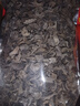 沛沛佳 新鲜黑木耳500g 云南精选干货 凉拌火锅食材 源头直发包邮 实拍图