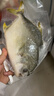 翔泰 海南金鲳鱼净重900g 2条装  年货节鱼类生鲜 火锅食材 海鲜水产  实拍图