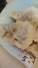湾仔码头玉米蔬菜猪肉水饺1320g66只早餐食品速食半成品面点生鲜速冻饺子 实拍图
