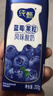 蒙牛纯甄蓝莓果粒风味酸奶200g*10盒 送礼盒装 实拍图