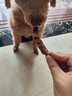 疯狂小狗宠物零食狗狗猫咪冻干训练磨牙猫狗通用 冻干棒棒糖 鸭梨无忧30g 实拍图