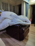 LOVO罗莱家纺 100%纯澳州羊毛加厚冬被芯子抗菌200*230cm白 实拍图
