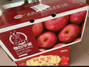 京鲜生 山东栖霞红富士苹果精品12粒 单果190g-240g  水果礼盒 实拍图