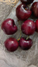 觅鲜探长智利进口车厘子大樱桃【多地次日达】新鲜水果可选礼盒装 750g(净重) 精挑手选果 J 26-28mm带箱2斤 礼盒装 实拍图