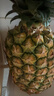 佳农 黑钻菠萝1粒装 巨无霸 菲律宾凤梨 净重3.6斤 生鲜水果 包邮 实拍图