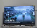 TCL雷鸟电视经济款 50英寸雀4 25款 莱茵护眼双认证 无开机广告 家电国家补贴电视50F195C 实拍图
