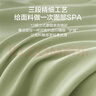 京东京造 小京研床单单件 100g轻柔丝滑 A类磨毛床罩 180x230cm 芽绿 实拍图