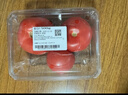 番茄约500g 实拍图