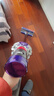 戴森（DYSON）V8无绳吸尘器【升级款】手持无线吸尘器 除螨 宠物 家庭适用 实拍图