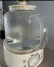 小熊（Bear）全玻璃养生壶 纯玻璃多功能恒温壶 办公室轻音炖煮花茶 1L YSH-J10D1 实拍图