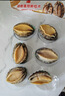 江船长冷冻鲍鱼 带壳去内脏去黑膜 净重230g 6粒装火锅食材海鲜年货送礼 实拍图