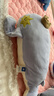 babycare婴儿玩偶安抚枕多功能哄睡枕侧睡靠背档枕沃伊鲸鱼45*23*15-0-1岁 实拍图