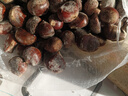 【东东农场专供】25年丹东新板栗生板栗炒菜专用新鲜蔬菜生鲜 25年新下树 6斤 送栗爪 实拍图