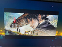 泰坦军团 24.5英寸 260Hz高刷 HDR400广色域 逐台校色FastIPS窄边框 PS5电竞显示器P2510H PLUS 原生240Hz  实拍图